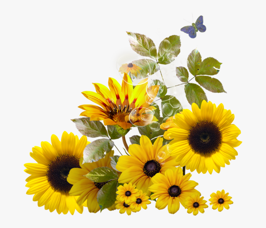 Download Pin By Trisna On Sunflower - Sunflower Corner Border Png , Free Pin By Trisna On Sunflower - Sunflower Corner Border Png , Free