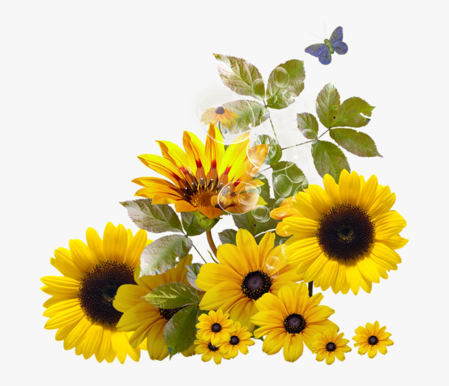 Pin By Trisna On Sunflower - Sunflower Corner Border Png, Transparent Clipart