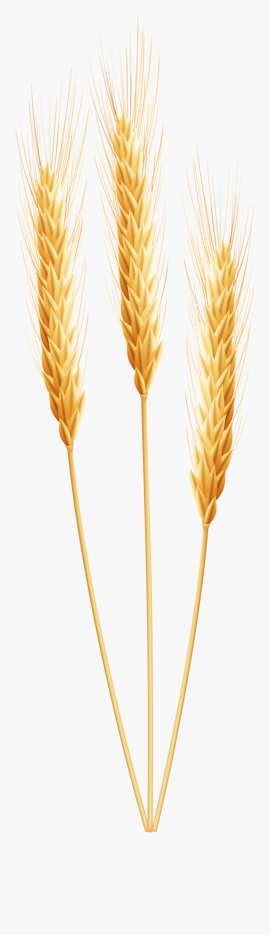 Clip Art Freeuse Library Chalice Clipart Grape Wheat - Transparent Background Wheat Png, Transparent Clipart