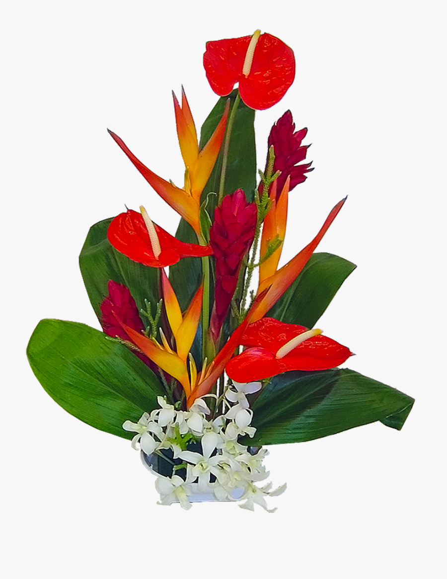 Clip Art Honokohau Tropical Flowers Previous, Transparent Clipart