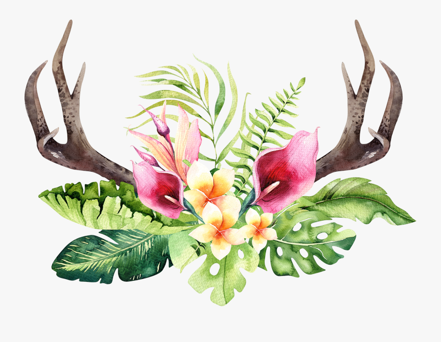 Transparent Floral Antler Clipart - Transparent Background Tropical Flowers Png, Transparent Clipart