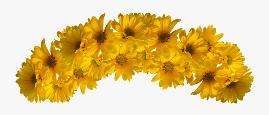 Flower Yellow Color - Yellow Flower Crown Png, Transparent Clipart