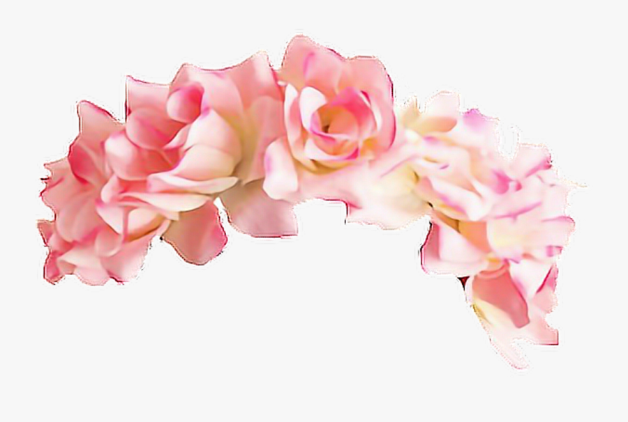 Picsart Image Collections - Pink Flower Crown Png, Transparent Clipart
