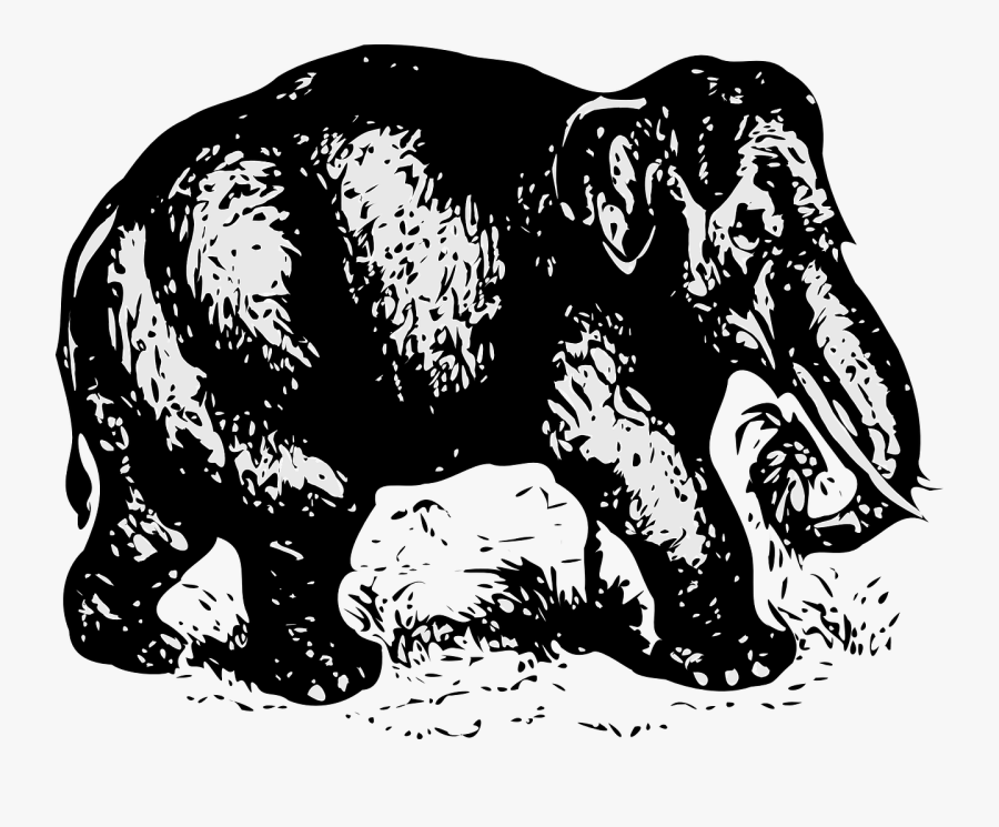 Elephant Black And White Clipart, Transparent Clipart