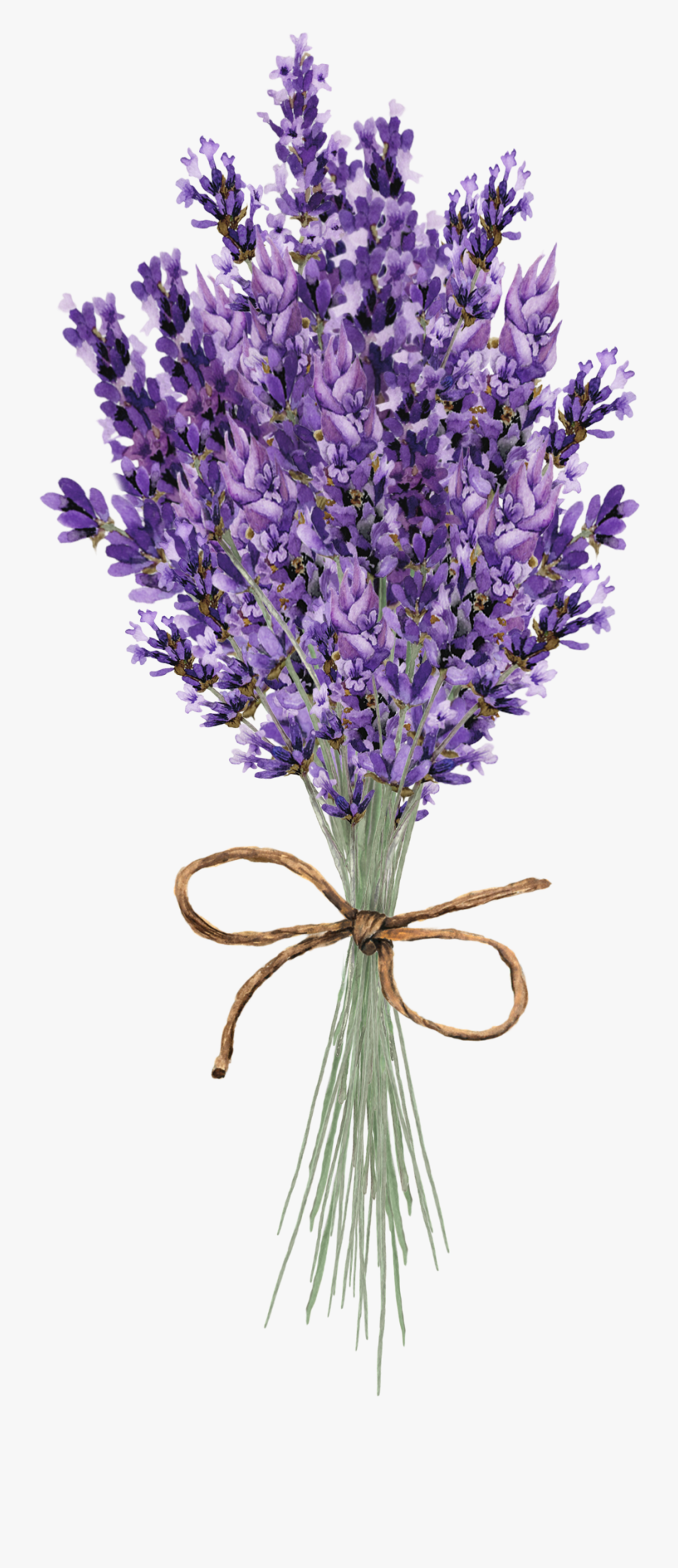 Pin By - One Lavender Clip Art, Transparent Clipart