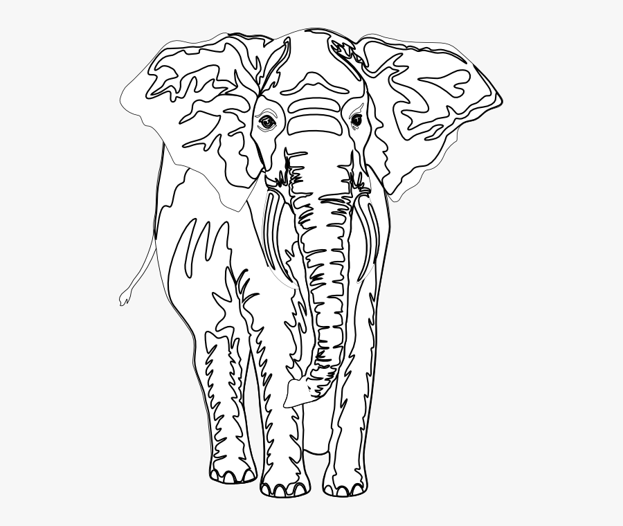 Artfavor Elephant Black White Line Art 555px - Indian Elephant, Transparent Clipart