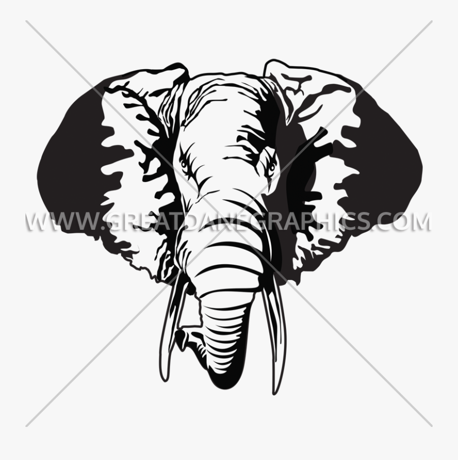 Transparent Walrus Clipart Black And White - African Elephant, Transparent Clipart