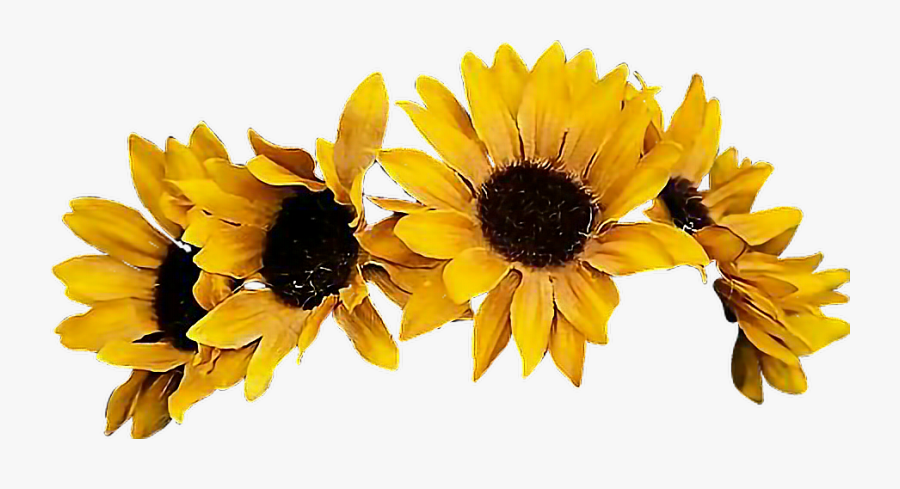Sunflower Flower Crown Png, Transparent Clipart
