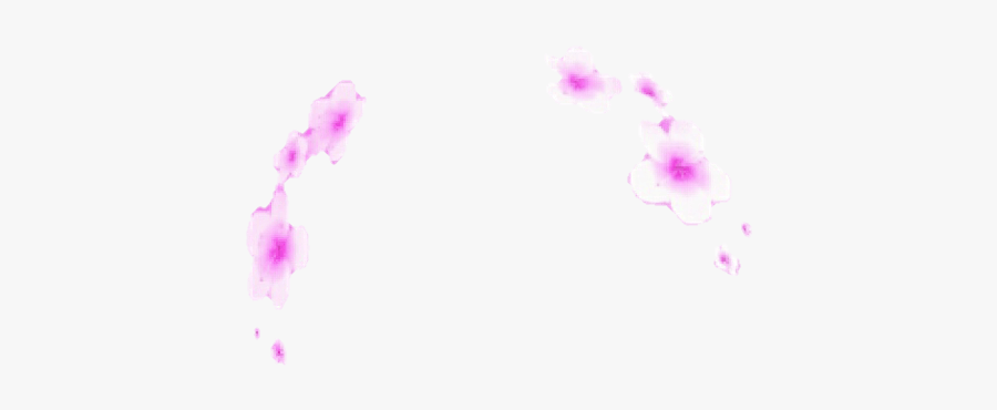 Snapchat Filters Png Free - Moth Orchid, Transparent Clipart