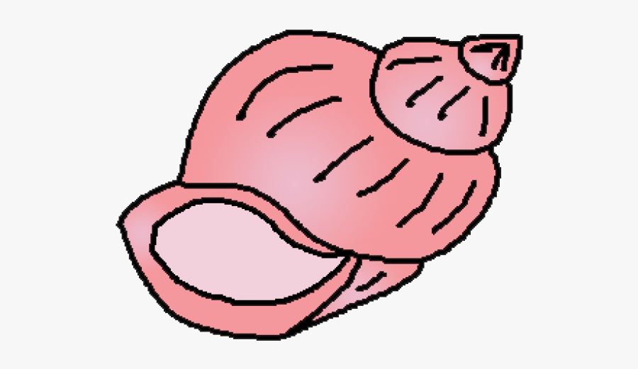 Cartoon Clipart Sea Shells, Transparent Clipart