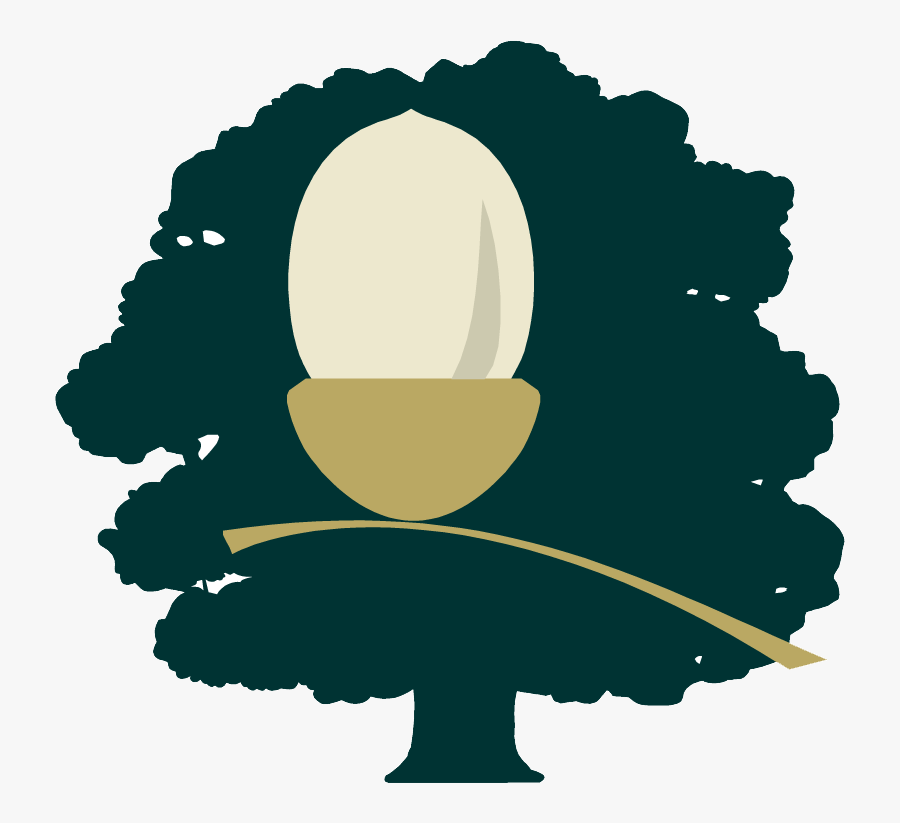 St Andrews C Of E Primary Marks Tey, Transparent Clipart