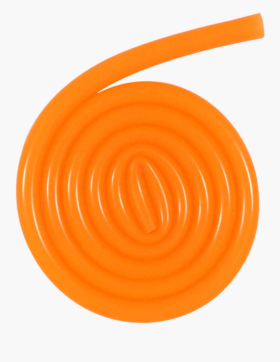 Circle, Transparent Clipart