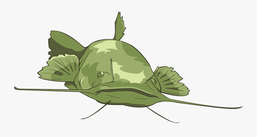 Illustration, Transparent Clipart