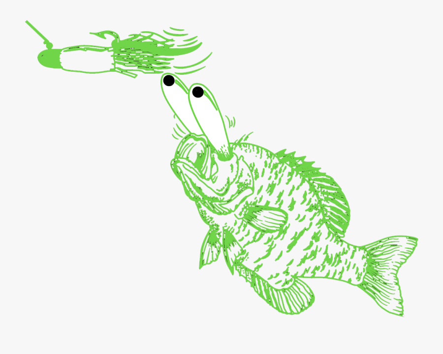 Bony-fish, Transparent Clipart