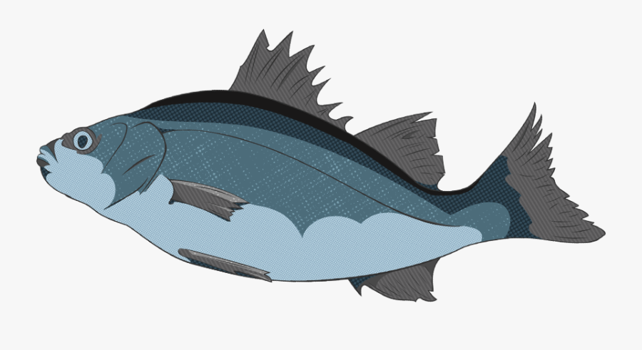 Fishing Bobber Clipart, Transparent Clipart