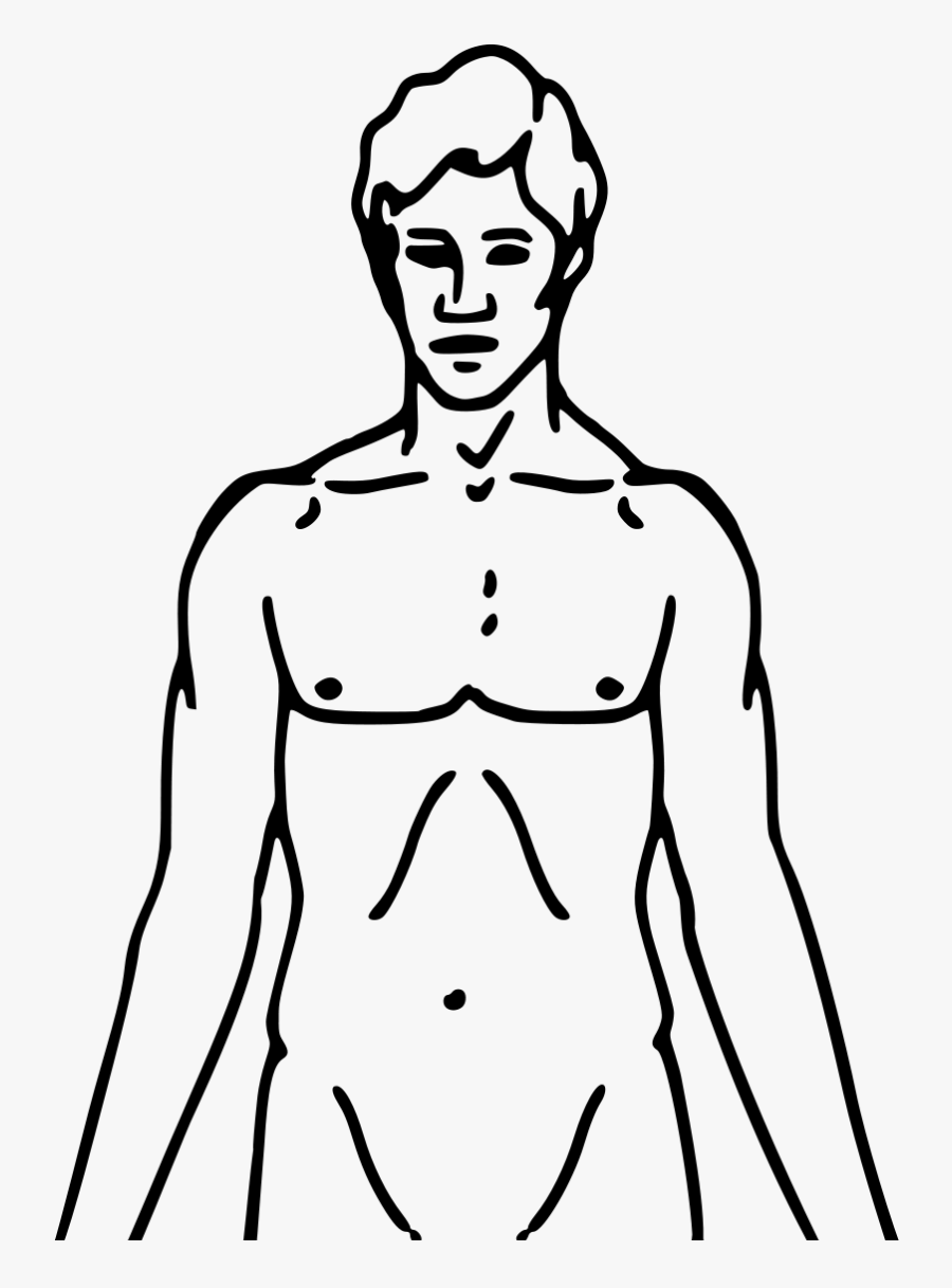 Filepioneer Plaque Man Upper Body As Diagram Template - Human Upper Body Drawing, Transparent Clipart