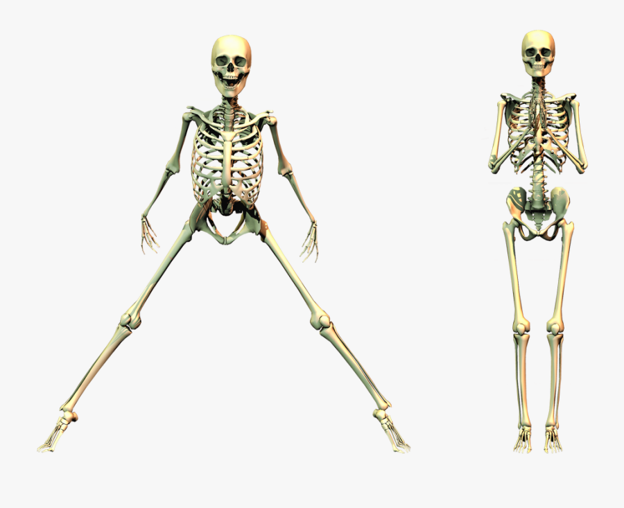 Spooky Skeleton Png Clipart - Skeleton Png, Transparent Clipart