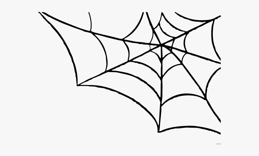 Transparent Background Spider Web Clipart, Transparent Clipart