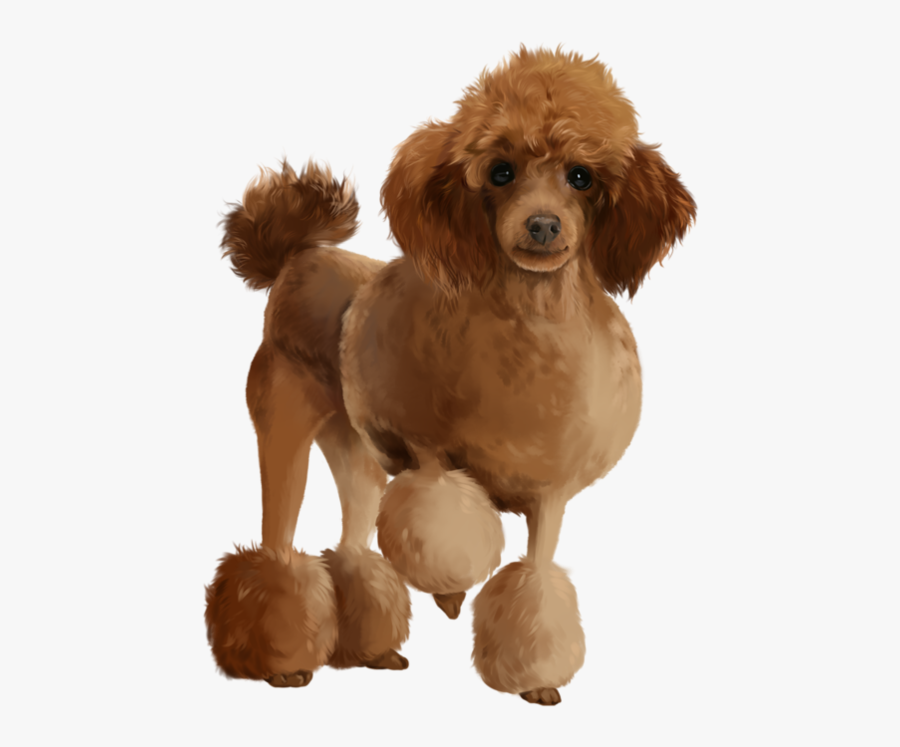 Dog, Transparent Clipart