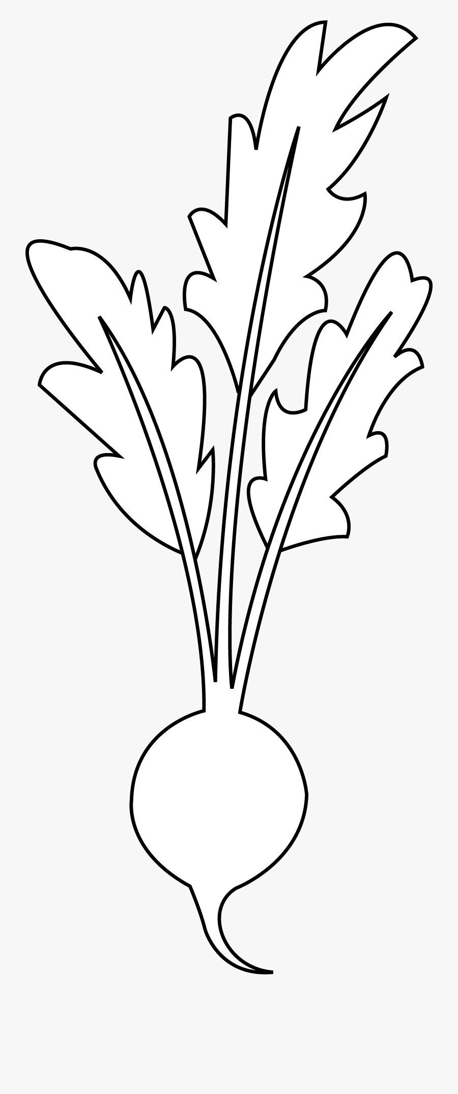 Clip Art Freeuse Line Of Floor Cloth Project Pinterest - Beets Clipart Black And White, Transparent Clipart