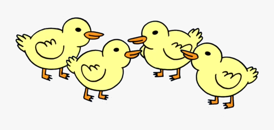 Baby Duck Png - Cartoon, Transparent Clipart