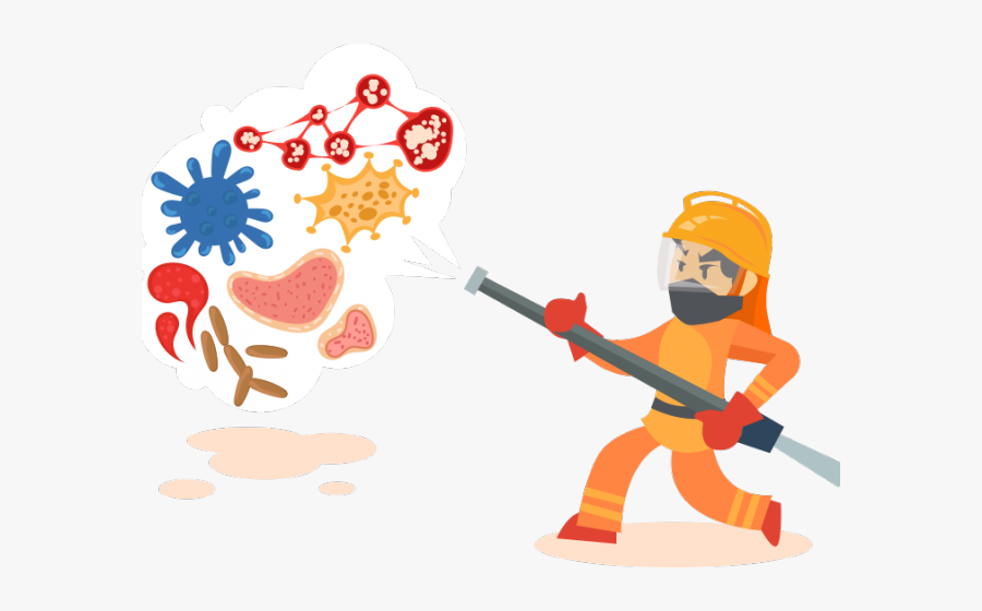 Algae Clipart Mold, Transparent Clipart