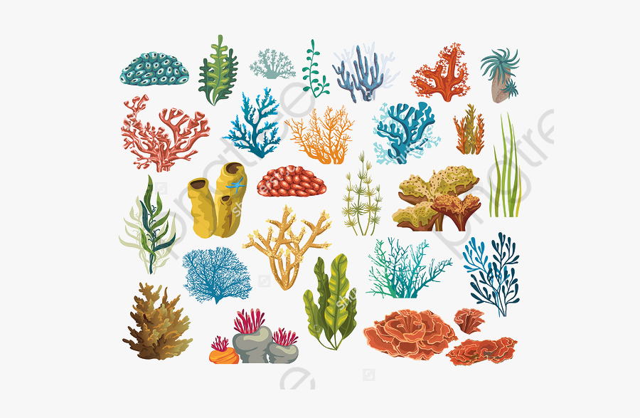 Colorful Corals And Marine - Coral Reef Painting Plants, Transparent Clipart