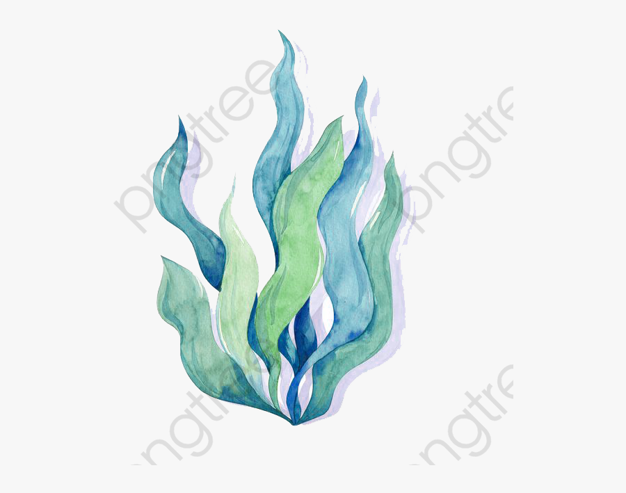 Dibujos De Algas Verde Azules Clipart , Png Download - Algas Verde Azules Dibujo, Transparent Clipart