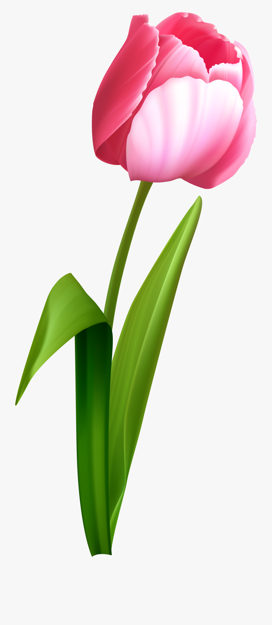 Banner Clipart Tulip - Clipart Transparent Background Flower Bouquet Png Clipart, Transparent Clipart