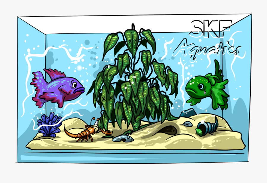 Non-aquatic Plants To Avoid - Illustration, Transparent Clipart