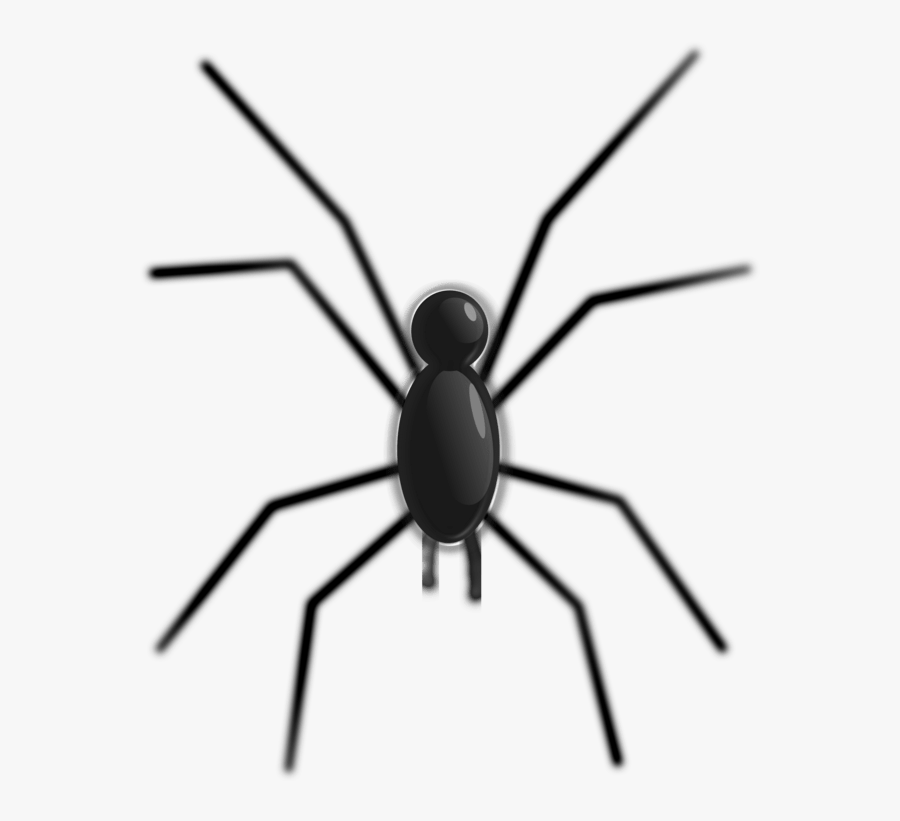 Thumb Image - Animals With 8 Legs Clipart, Transparent Clipart