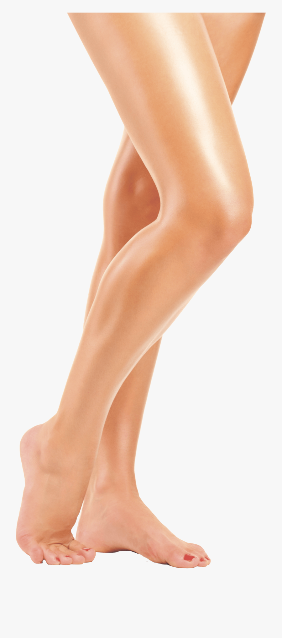 Leg Png4815 - Legs Png, Transparent Clipart