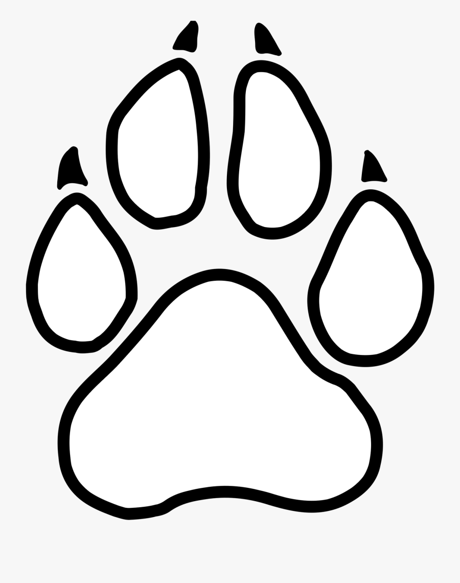 Graphic Of A Little Paw Print - Panther Paw Print Outline, Transparent Clipart