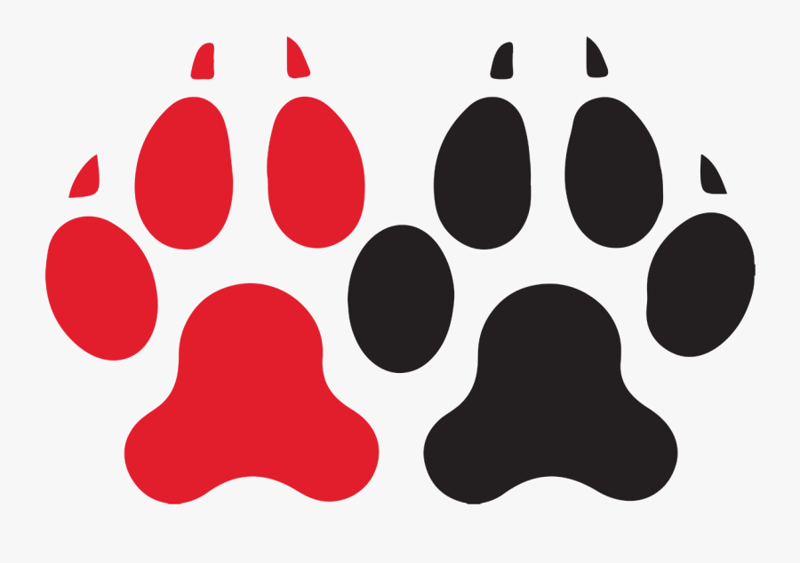 Northeastern University Northeastern Huskies Men"s - Northeastern University Husky Logo, Transparent Clipart