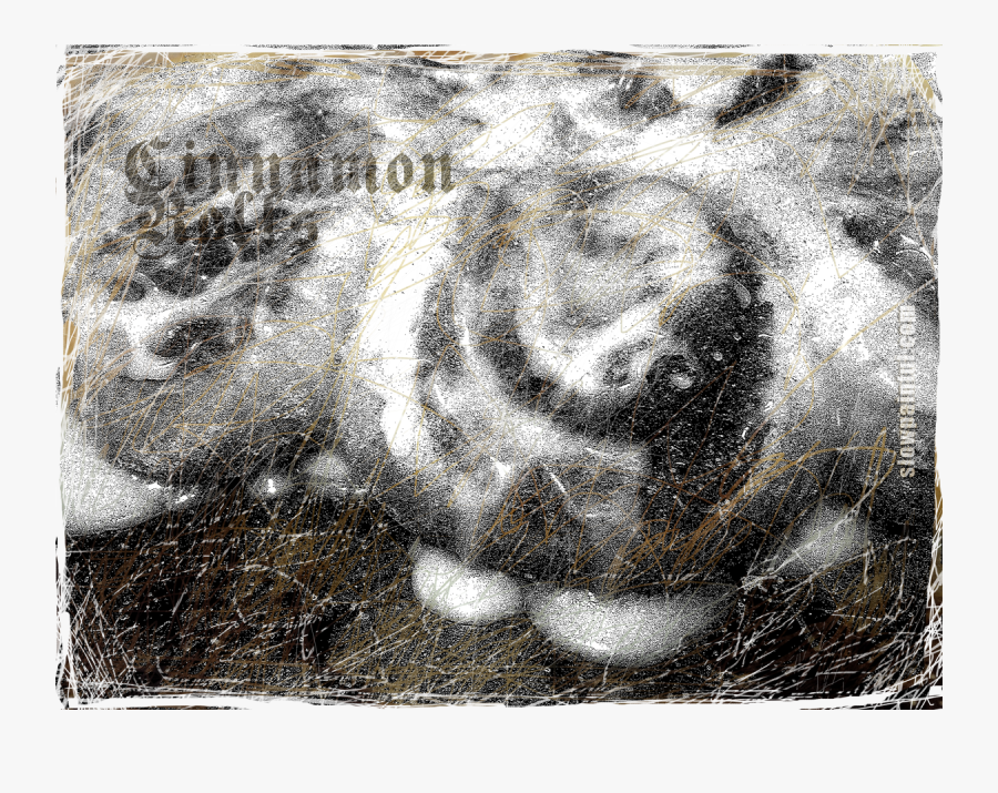 Cinnamon Rolls - Motif - Motif, Transparent Clipart