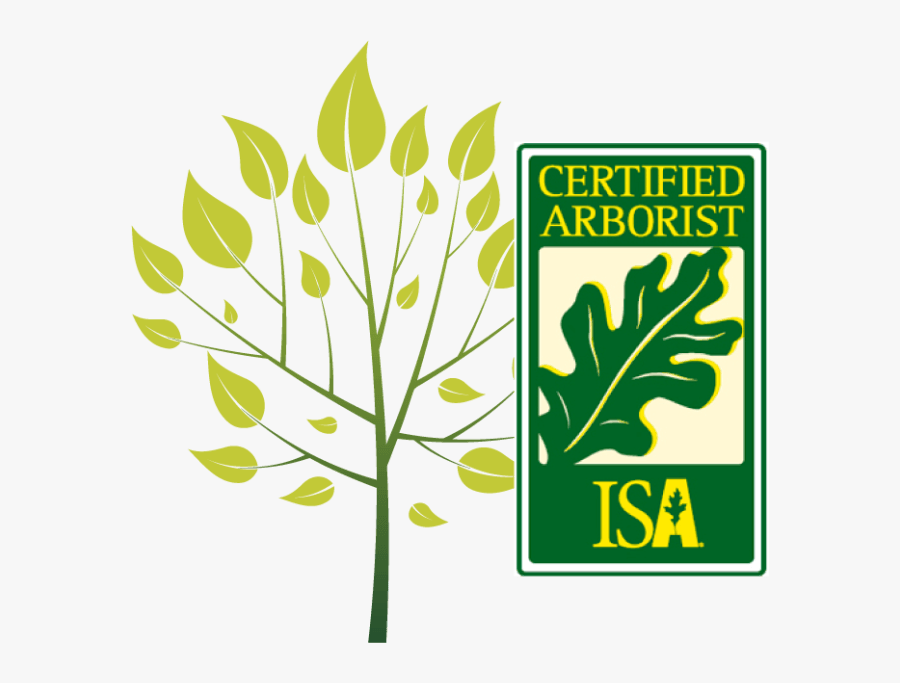 Isa Certified Arborist Badge, Transparent Clipart