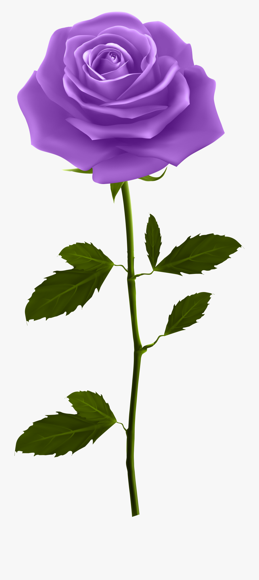 Rose Clipart Stick, Transparent Clipart
