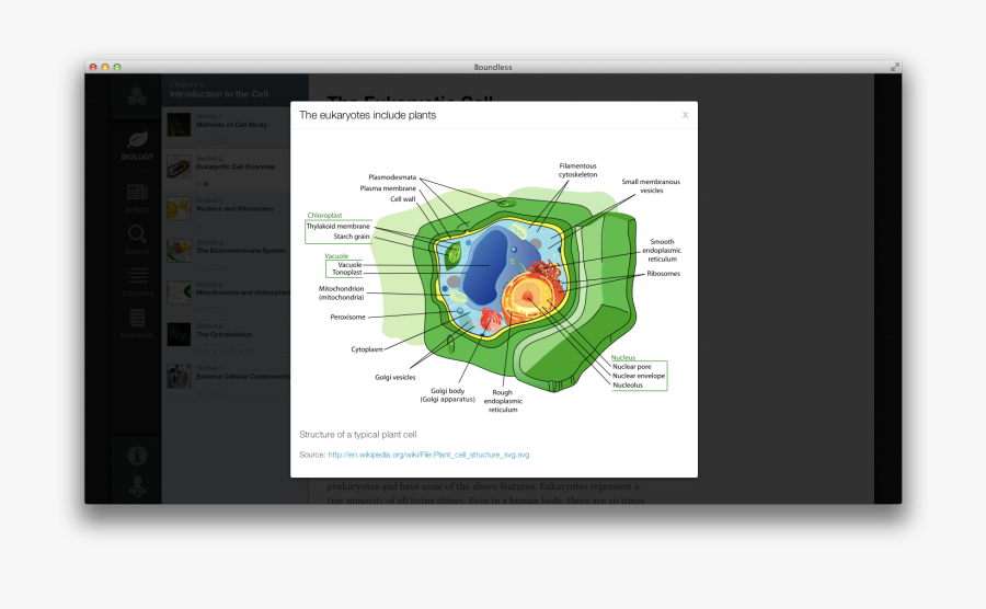 Transparent Endoplasmic Reticulum Clipart - Football Stadium Plant Cell, Transparent Clipart