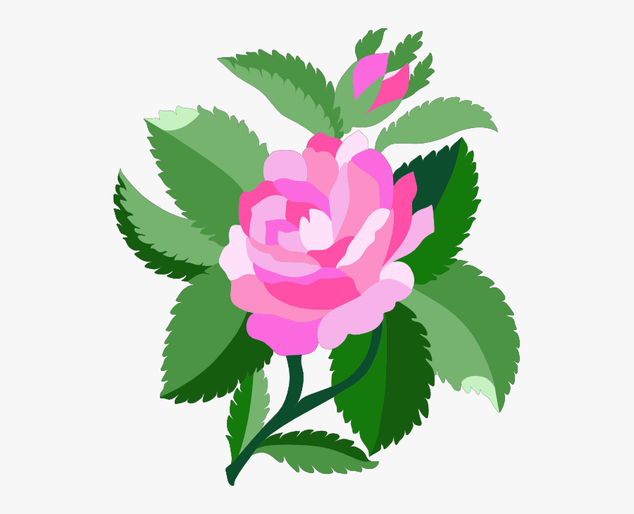 Transparent Beautiful Flower Clipart - Damask Rose Clipart, Transparent Clipart