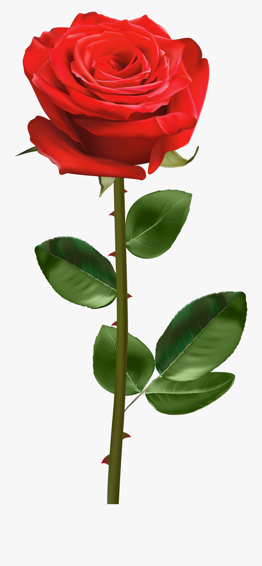 Blue Rose With Thorns , Free Transparent Clipart - ClipartKey