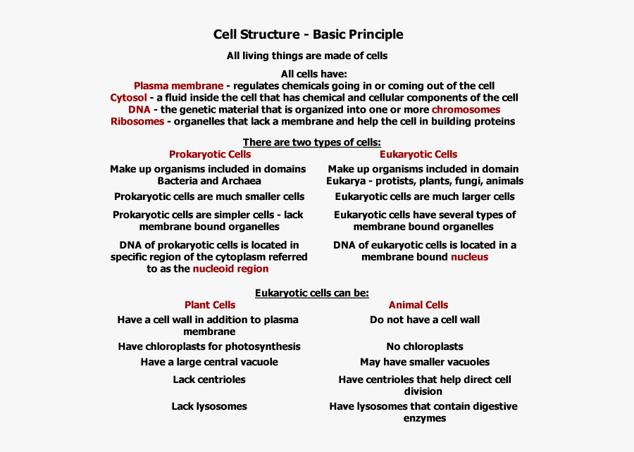 Cell General Biology 1, Transparent Clipart