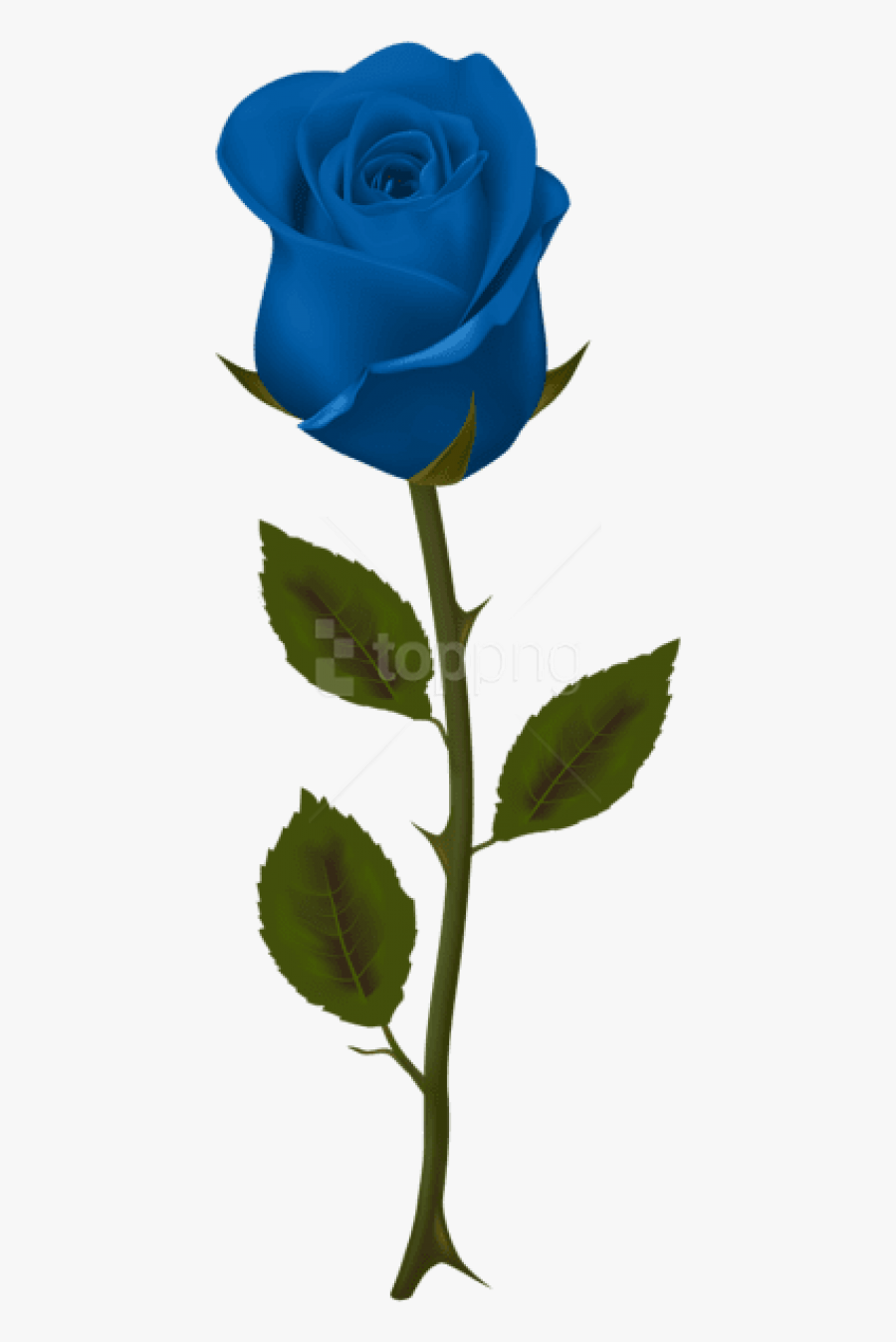 Bud - Transparent Background Blue Rose Png, Transparent Clipart