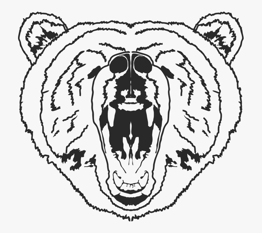 Bear, Outline, Bear Face, Mascot, Animal, Grizzly - Bear Outline, Transparent Clipart