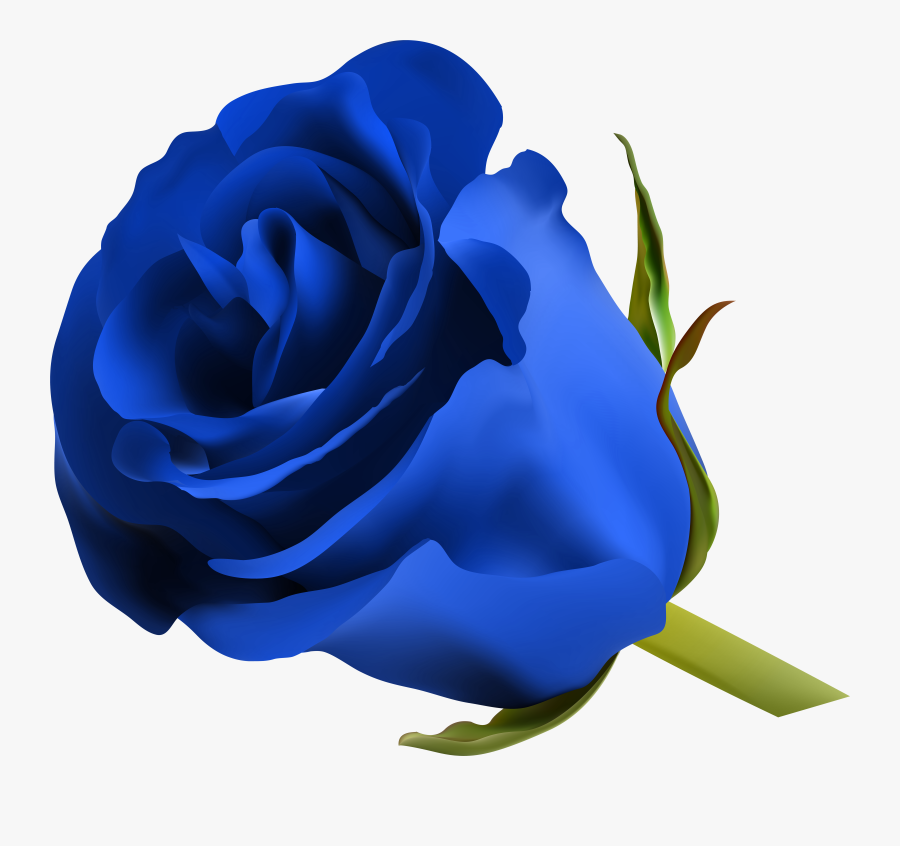 Transparent Roses Png Transparent Royal Blue Flower Png Free Transparent Clipart Clipartkey