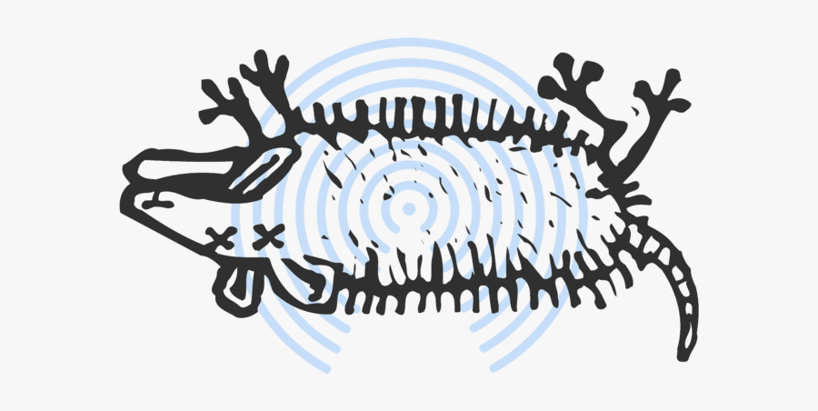 Airdrop Dead Possums Jaron Myers Clipart Transparent - Dead Possum Clipart, Transparent Clipart