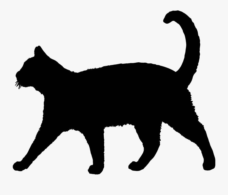 Transparent Cat Silhouette Clipart - Cat Silhouette, Transparent Clipart