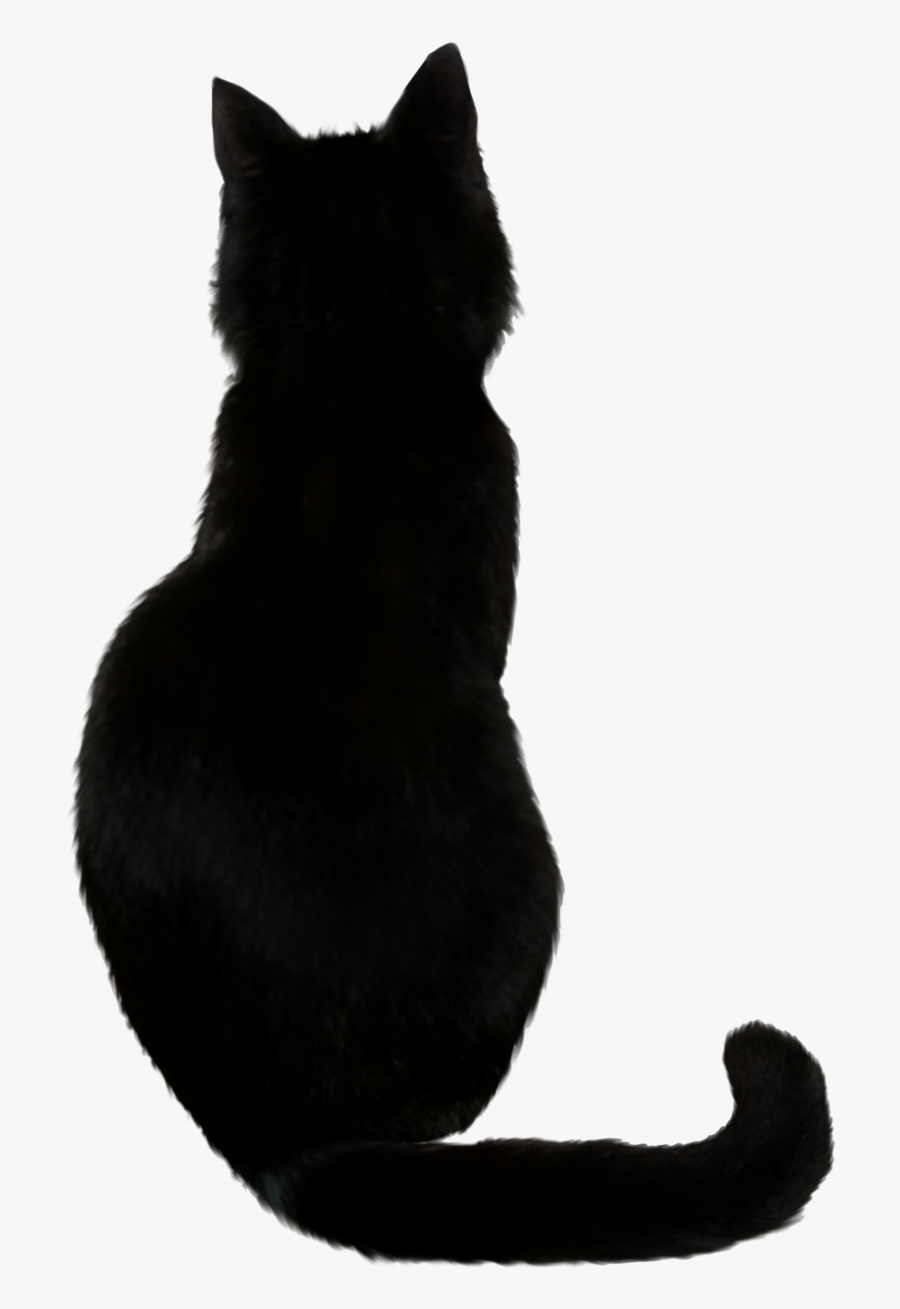 Black Cat, Transparent Clipart