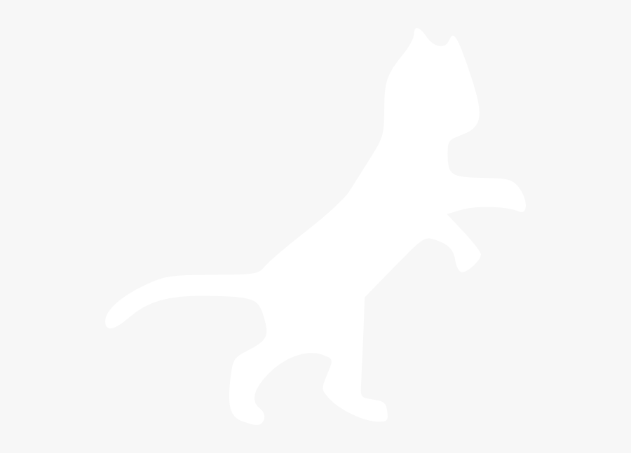 Cat Clipart White K - Cat Vector Png White, Transparent Clipart