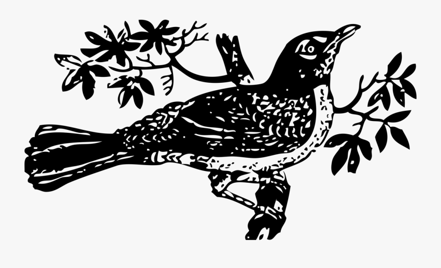 Mockingbird Clipart, Transparent Clipart