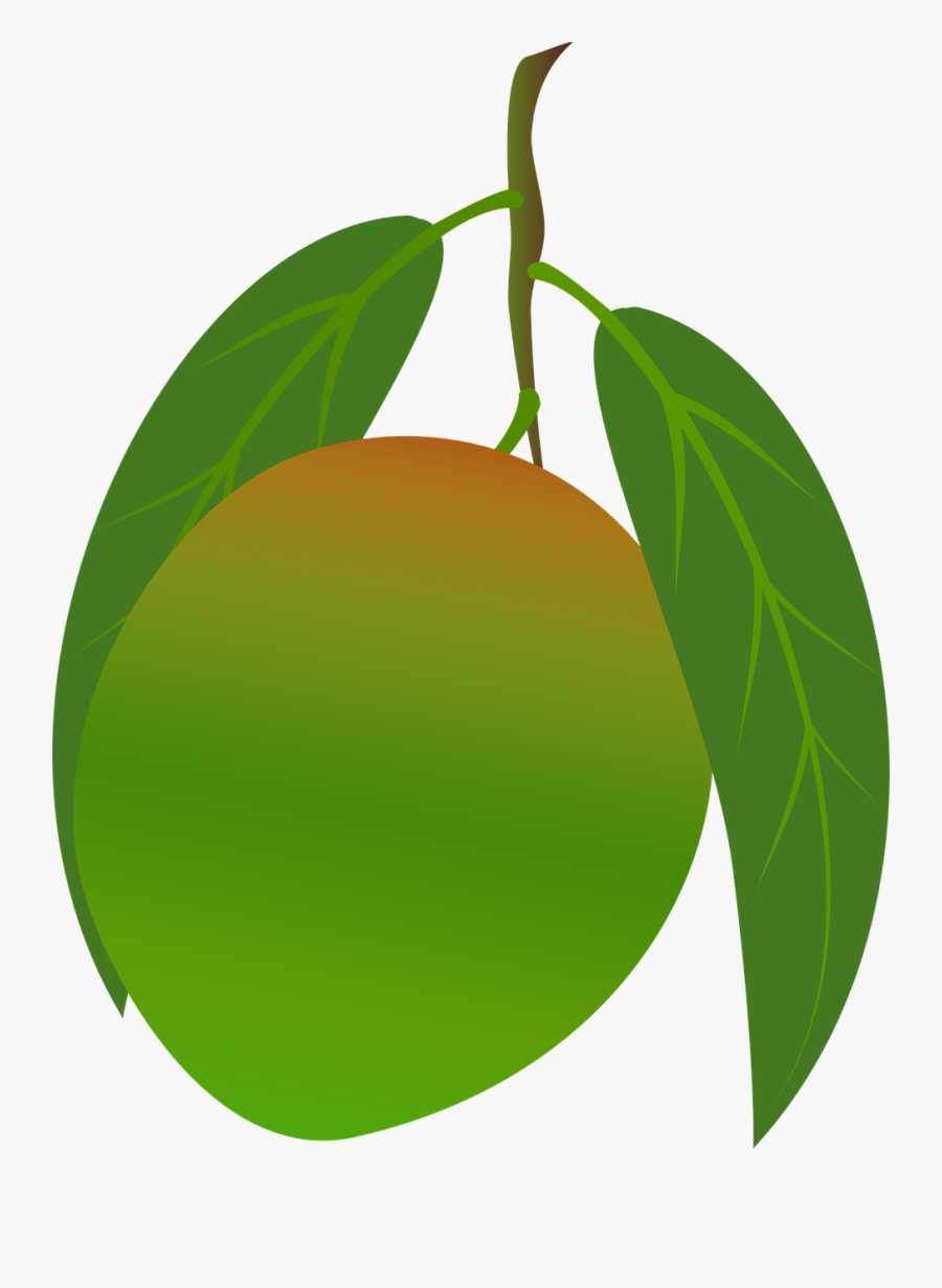 Mango Clipart Food - Mango, Transparent Clipart